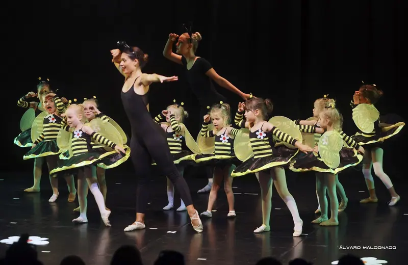 Zwei Erwachsene in Schwarz mit Fühlern führen kleine Bienen in gestreiften Tutus über die Bühne