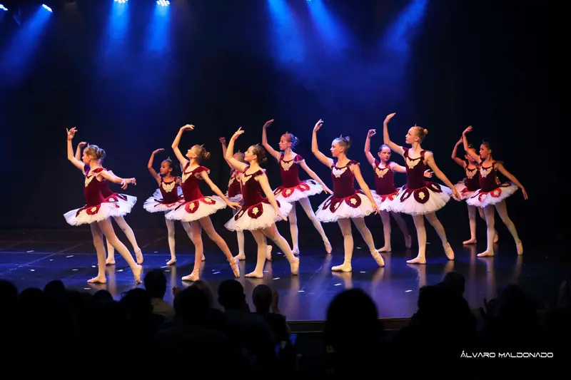 Une rangée de ballerines en tutus bordeaux et blanc pose un bras levé sous des faisceaux bleus face au public
