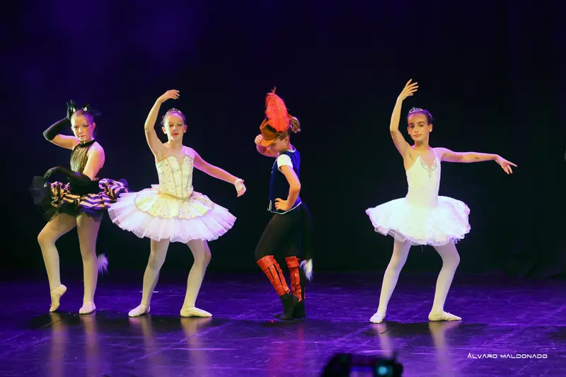 Une chatte en tutu rayé, deux ballerines en tutu blanc et une danseuse en chapeau à plume et bottes rouges posent en ligne
