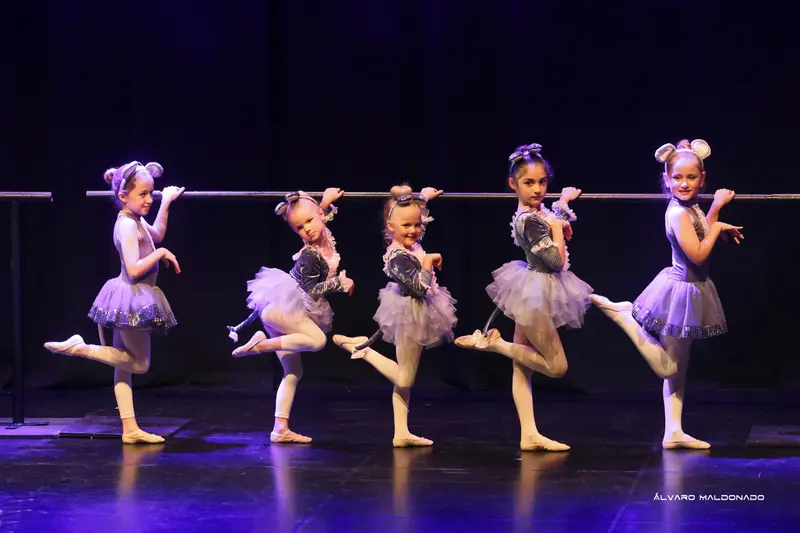 Cinq petites souris en tutus gris tiennent la barre et lèvent un pied derrière elles dans une pose espiègle