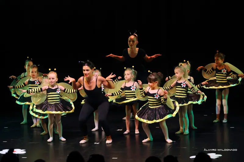 De toutes petites danseuses en abeilles, tutus rayés, ailes et antennes, suivent deux professeures en noir