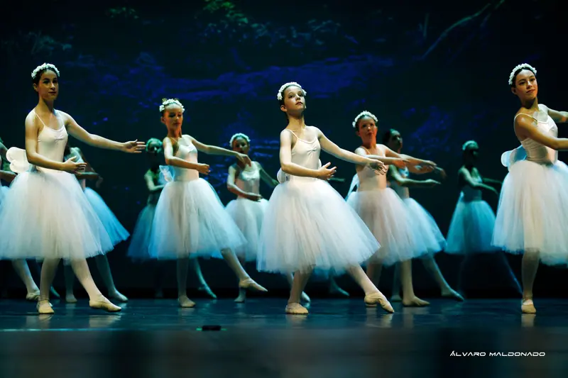 Danseuses en longs tutus romantiques blancs et couronnes de fleurs avançant bras tendus devant une forêt bleu foncé