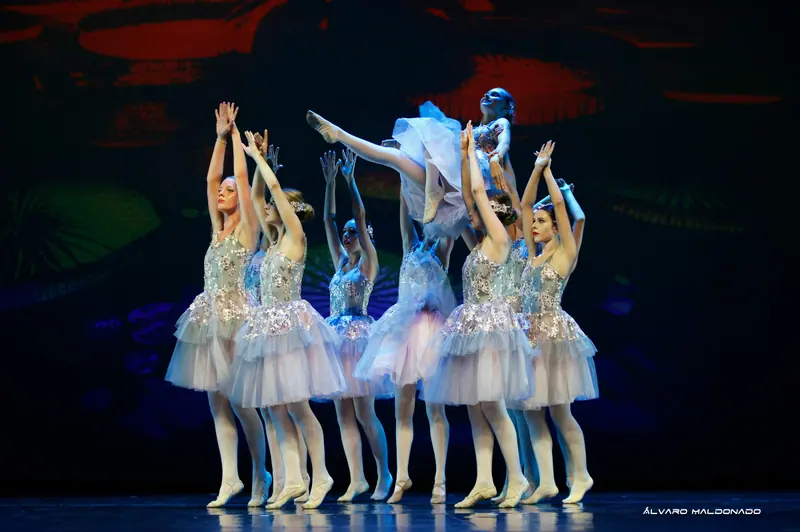 Une danseuse en tutu lilas est portée haut en position allongée tandis que le groupe en dessous tend les bras vers le haut