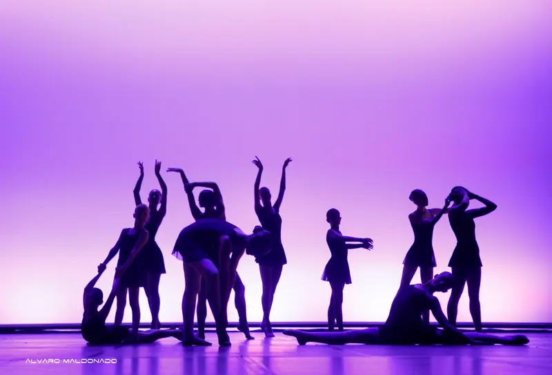 Silhouettes de danseuses en jupettes dans des poses variées devant un fond violet lumineux