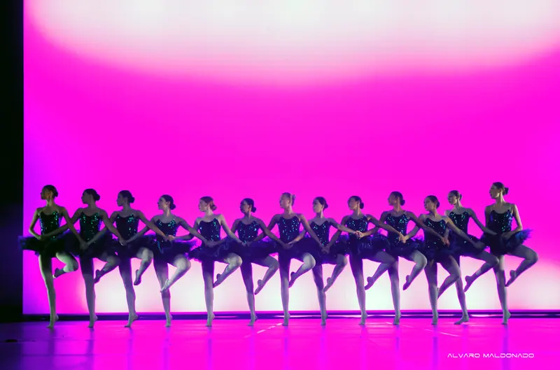Une rangée de danseuses en tutus sombres à paillettes se tient la main, chacune une jambe en passé devant un fond magenta