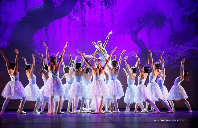 Un grand groupe en tutus romantiques blancs tend les bras vers une danseuse portée au centre, sous une forêt violette projetée